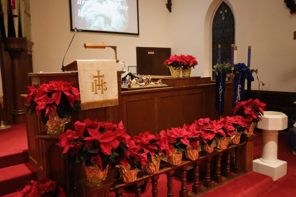 Poinsettias in front of the pulpit and nativity set.