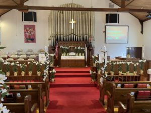 Sanctuary decorated for Easter day in 2023. Easter Lilies featured.